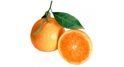 Orange Tarocco di Sicilia