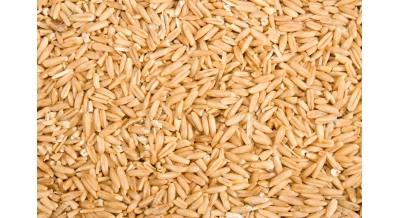 Orzo [Barley] 5KG