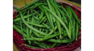 Green Beans extra