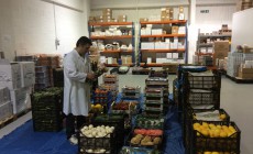 Inspecting Fruit and Veg delivery