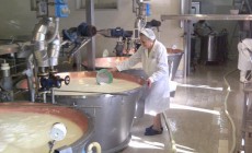 Traditions at Gennari parmigiano factory