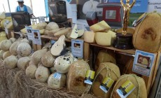 Artigiana di Puglia Cheese stand