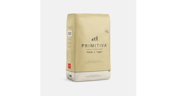 Flour Primitiva Tipo 1 300 1KG