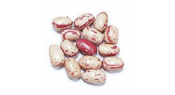Borlotti Beans 5KG
