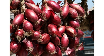 Red Onions from Tropea - Cipolla Rossa di Tropea